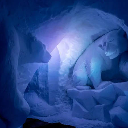 Hotel Village Igloo *