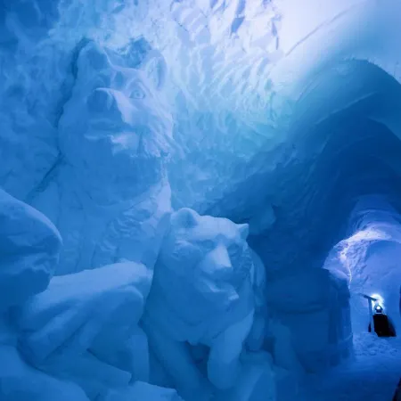 Village Igloo Hotell